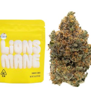 Buy Lions Mane Lemonade Strain