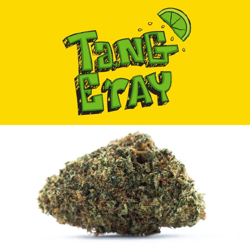 Limonata Tang Eray Acquista i biscotti alla limonata Tang Eray